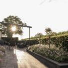 Boerderijtuin te Beemte Broekland