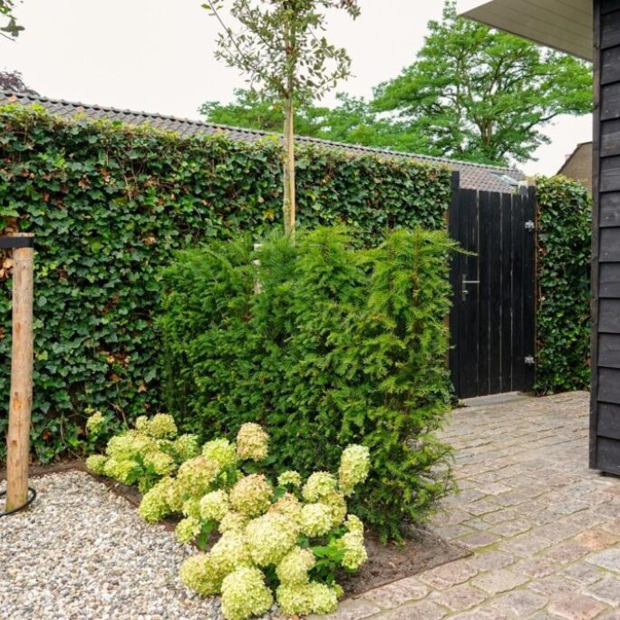 Strakke voor- en achtertuin met binnentuin, bij jaren '30 woning in Laren