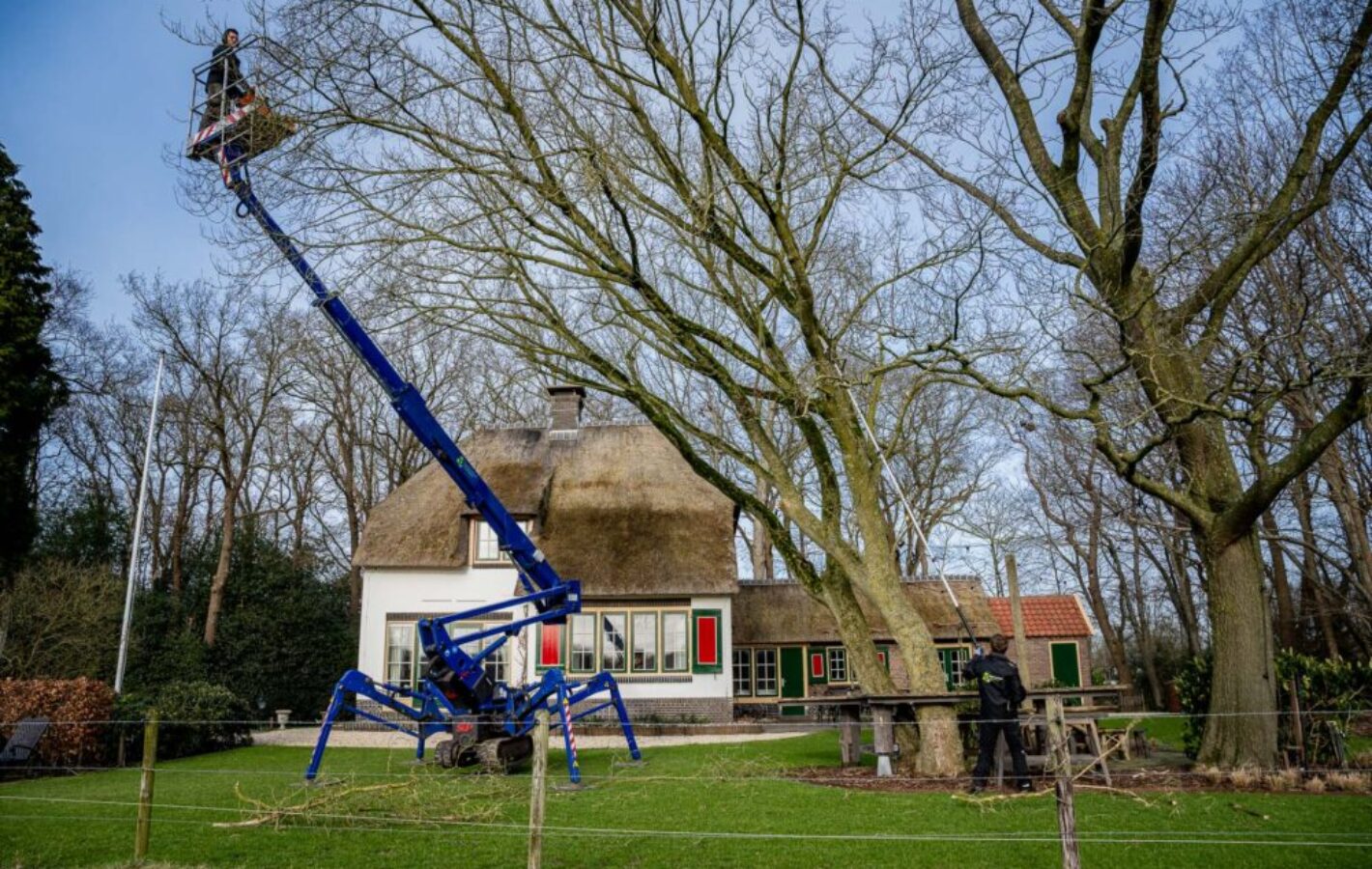 Onderhoud van uw tuin door Soetendaal Hoveniers