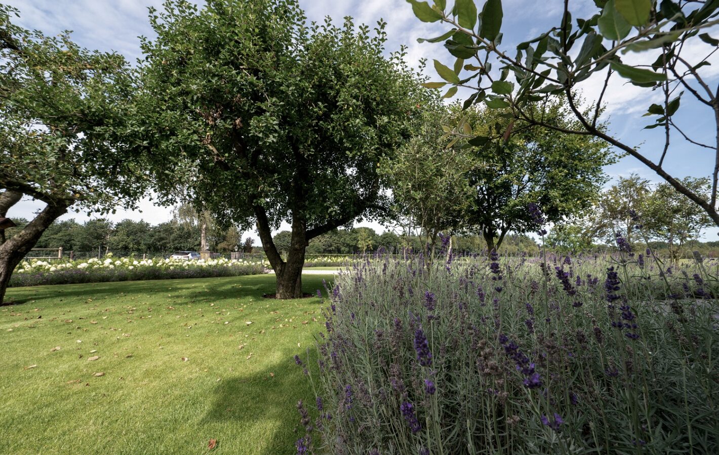 Tuin te Uddel