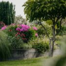 Luxeuze leeftuin met vijver te Lelystad
