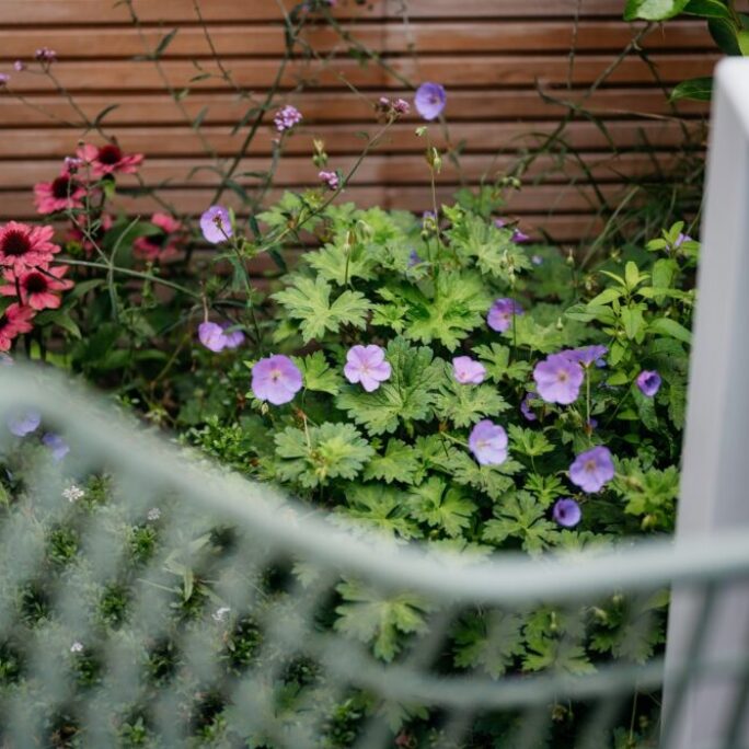 Aanleg kindvriendelijke tuin te Weesp