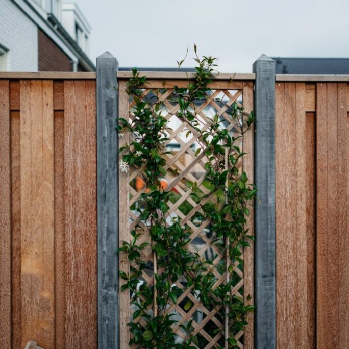 Aanleg tuin met tuinhuis te Weesp