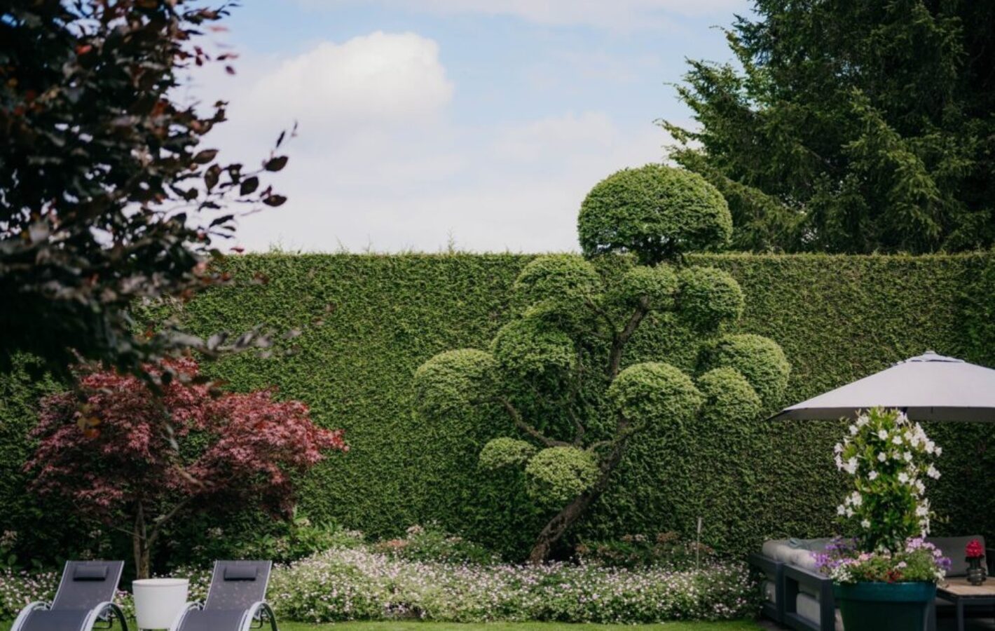 Tuin te Barneveld met een botanische uitstraling