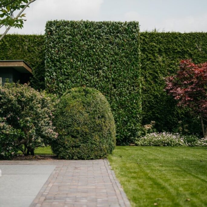 Tuin te Barneveld met een botanische uitstraling