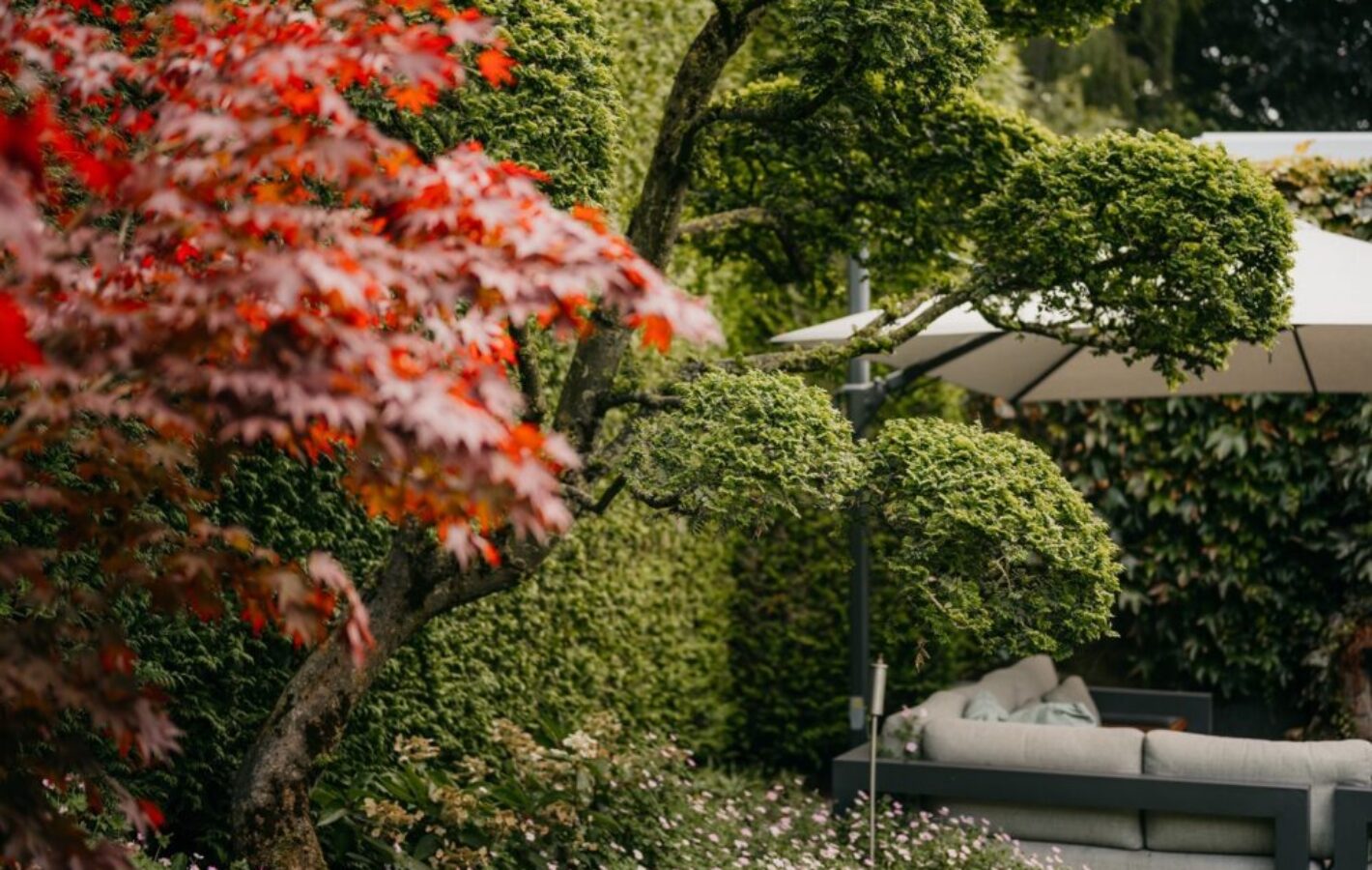 Tuin te Barneveld met een botanische uitstraling