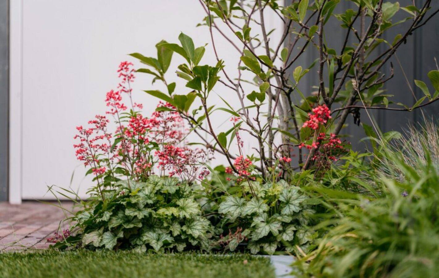 Aanleg tuin met tuinhuis te Weesp