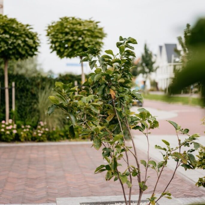 Tuin met veel zithoeken in Weesp