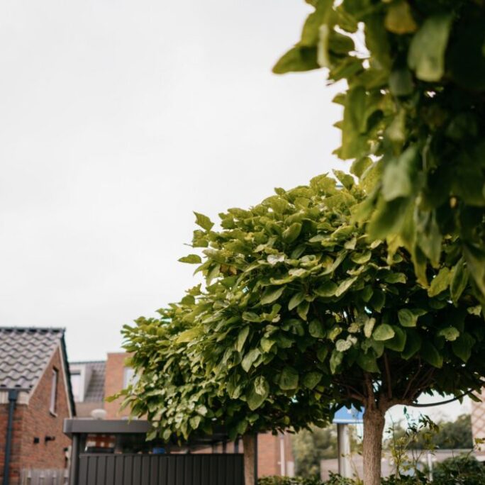 Tuin met veel zithoeken in Weesp