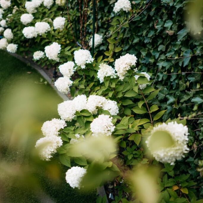 Tuin met veel zithoeken in Weesp
