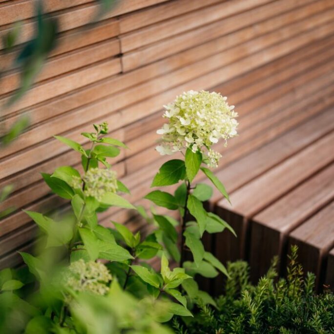 Tuin te Weesp