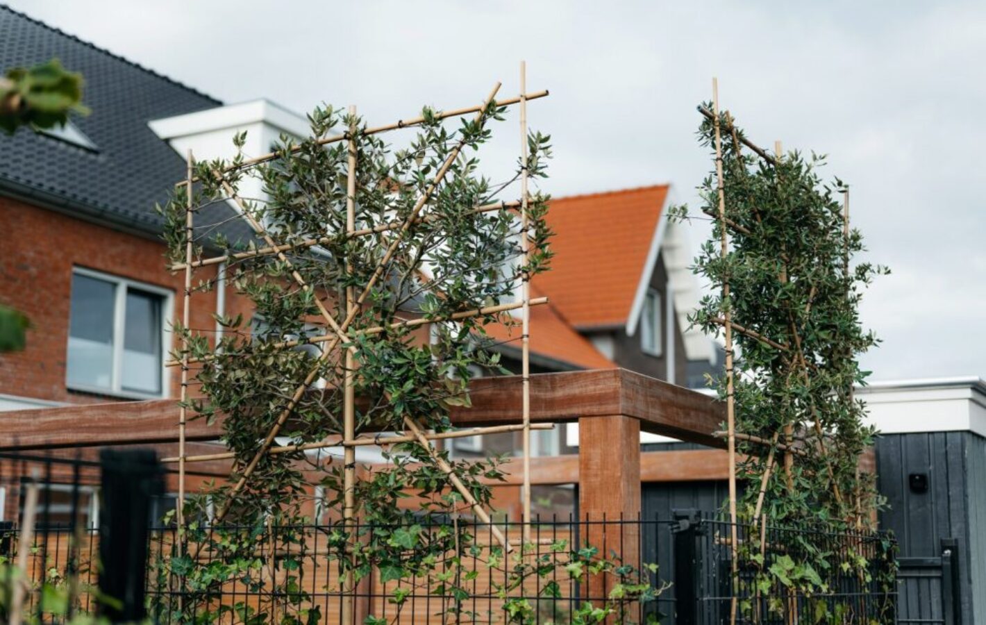 Tuin te Weesp