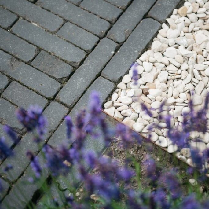 Natuurlijke tuin te Stroe