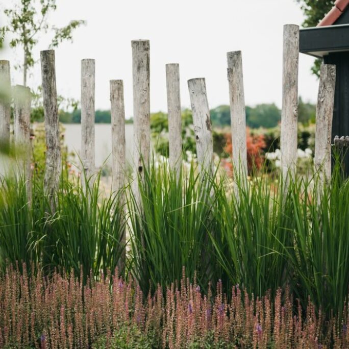 Natuurlijke tuin te Stroe