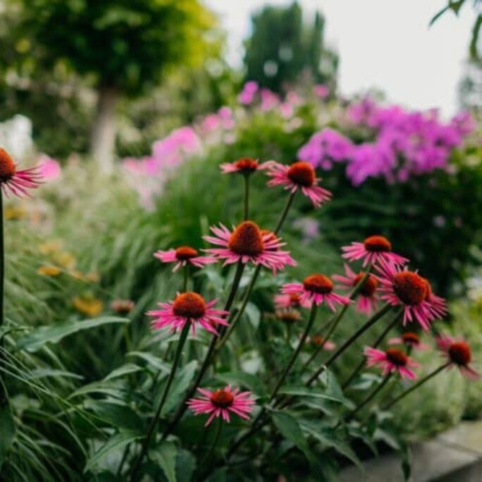 Luxeuze leeftuin met vijver te Lelystad