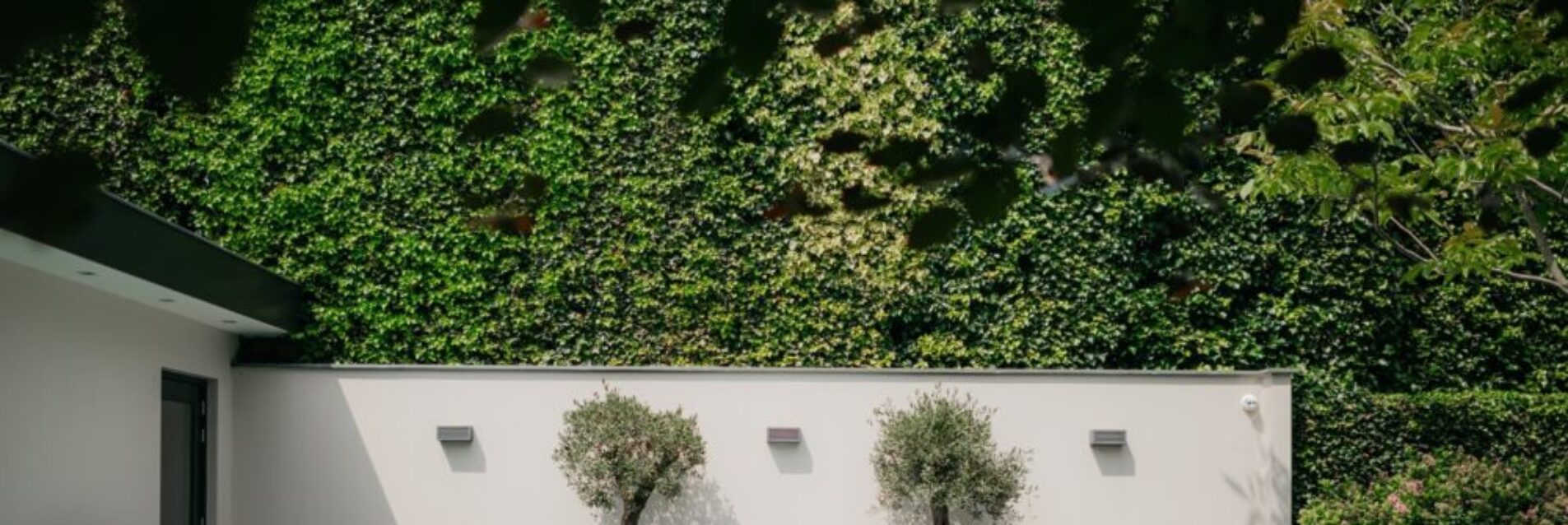 Tuin te Barneveld met een botanische uitstraling