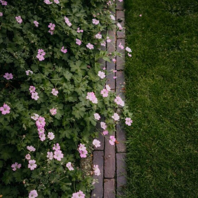 Tuin te Barneveld met een botanische uitstraling