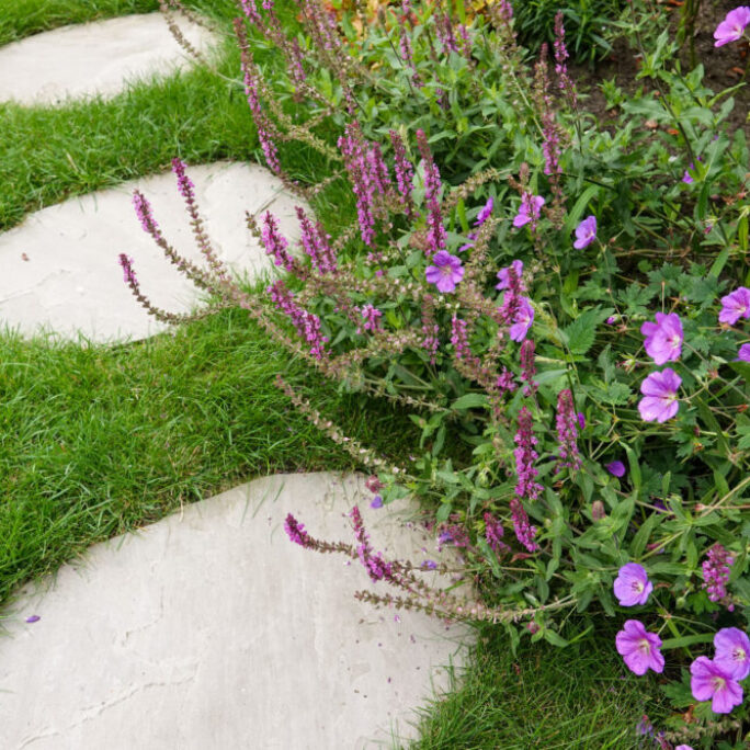 Kindvriendelijke tuin met veranda te Naarden